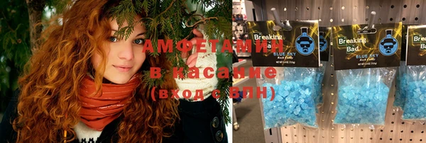 стаф Надым